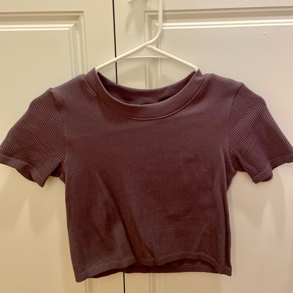 Zara Crop Top